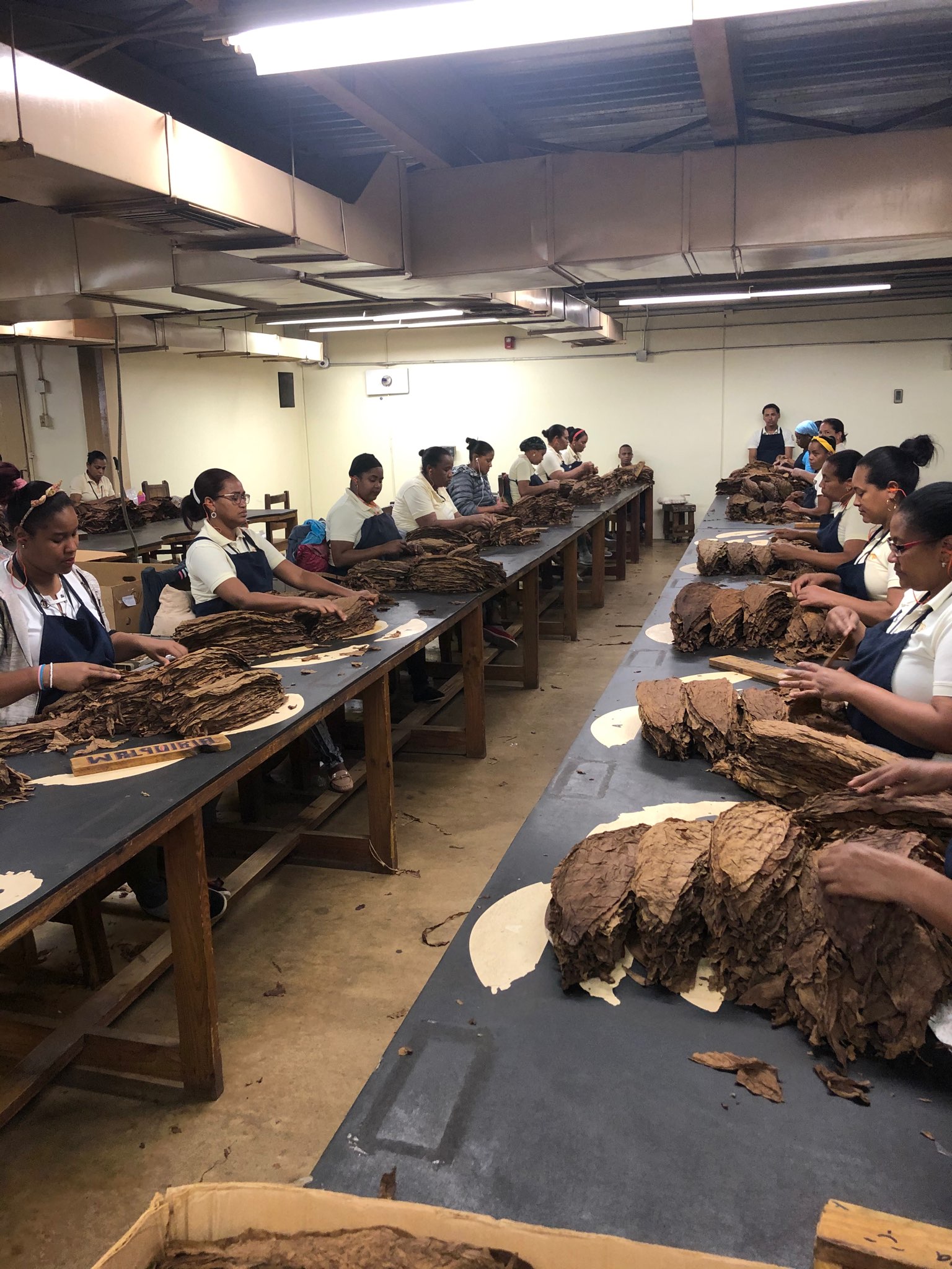 Georgina\'s trip to the Dominican Republic